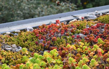 the cost of Tir Y Berth green roof installation