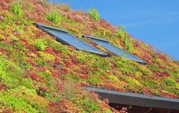 Tir Y Berth living roof systems