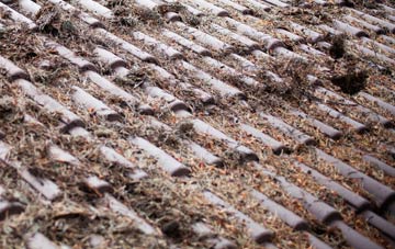 Tir Y Berth roof cleaning companies